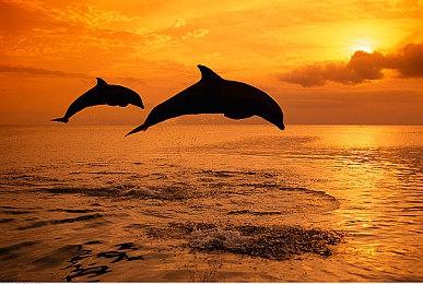 《全面战争：战锤3》1.0.2补丁内容 下下周上线